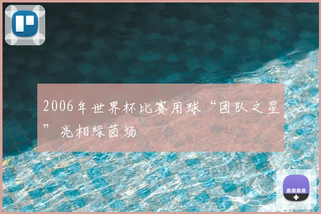2006年世界杯比赛用球“团队之星”亮相绿茵场