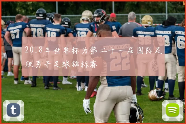 2018年世界杯为第二十一届国际足联男子足球锦标赛