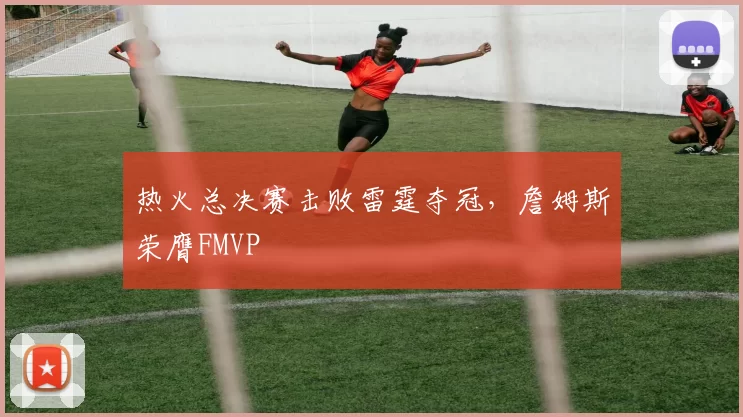 热火总决赛击败雷霆夺冠，詹姆斯荣膺FMVP