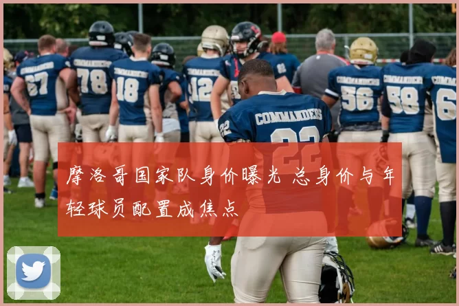 摩洛哥国家队身价曝光 总身价与年轻球员配置成焦点