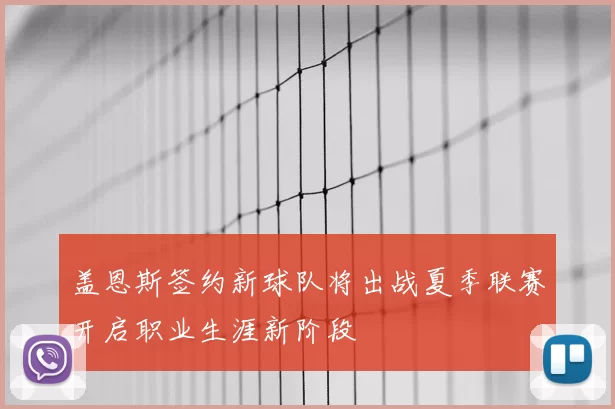 盖恩斯签约新球队将出战夏季联赛开启职业生涯新阶段